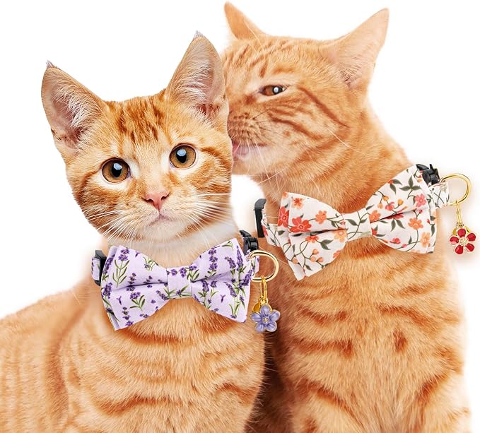 2 Pack Breakaway Cat Collar - Image 6