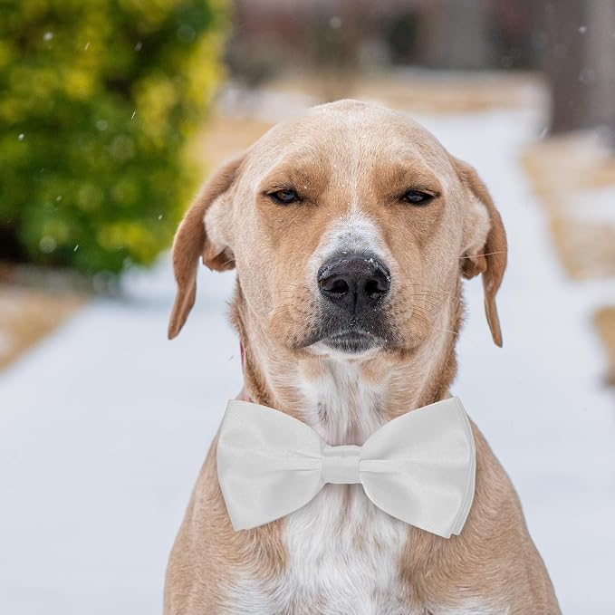 Dog Bow Tie for Large Dogs, KOOLMOX Adjustable Formal Dog Bowtie Collars for - Image 5