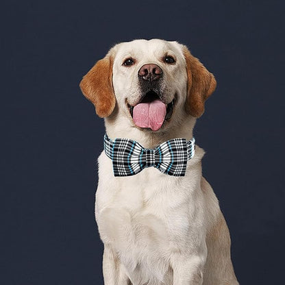 Lionheart glory Dog Bow Collar Blue and Black Plaid Dog Collar - Image 4