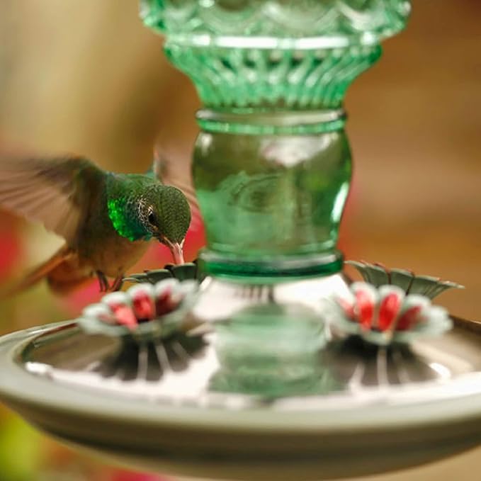 Perky-Pet Glass Bottle Hummingbird Feeder - Image 11