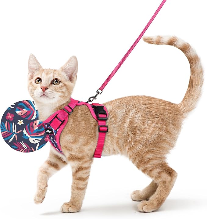 rabbitgoo Cat Harness and Leash by rabbitgoo