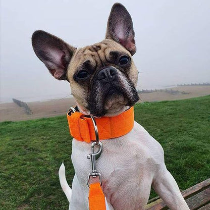 Heavy Duty Tactical Dog Collar - Image 6