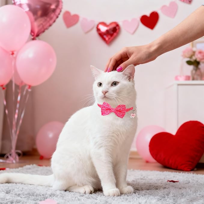 SCENEREAL Valentine's Day Cat Bandana Collars - Image 7