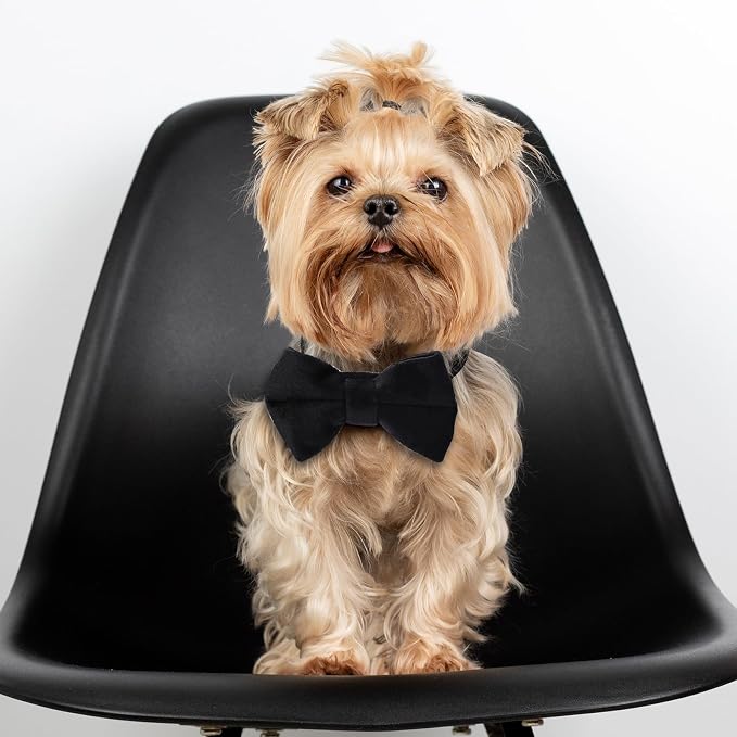 2 Pcs Velvet Cat Collar Cute Cat Bow Tie Collar Adjustable Breakaway Collars - Image 4