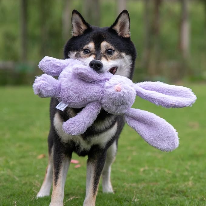 Best Pet Supplies Squeaky Dog Toys - Image 6