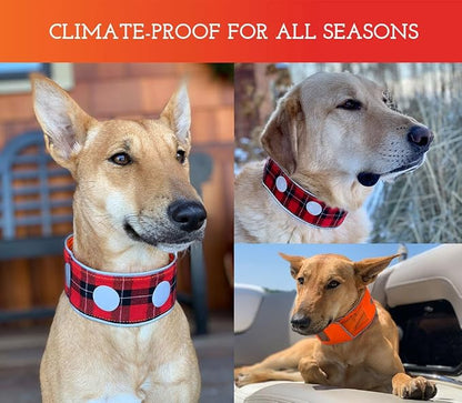 SPOT THE DOG! Reflective Dog Collar - Image 4
