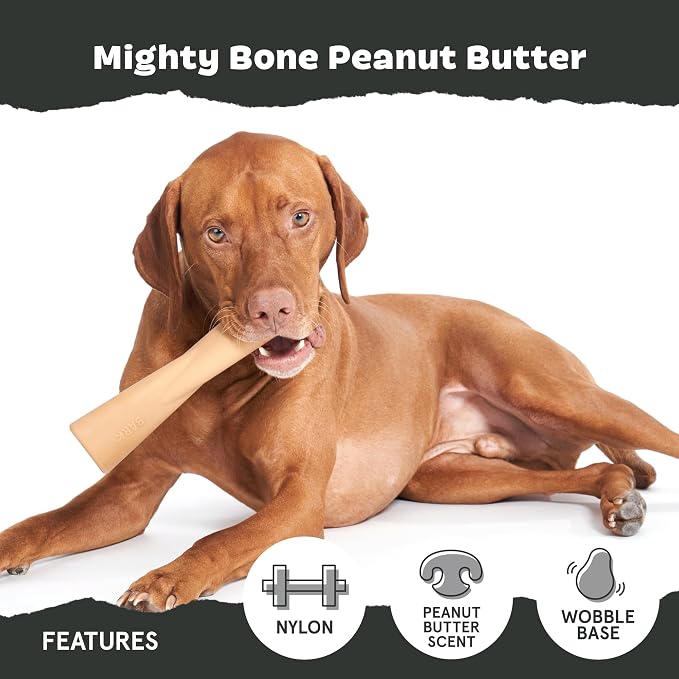 Barkbox Super Chewer Tough Dog Chew Toys - Image 4