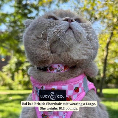 Lucy & Co. Cutie Patootie Breakaway Cat Collar - Image 3