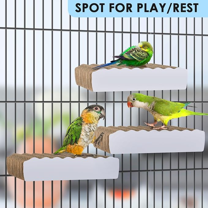 KATUMO Parrot Perch Parakeet Cage Stand Conure Platform Cockatiel Foraging - Image 4