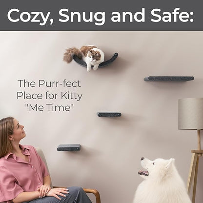 Wall Mounted Cat Shelves by Pryde Pets - Image 3