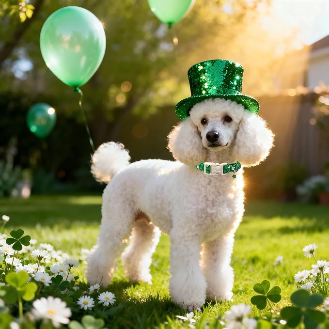 St. Patrick's Day Dog Collar for Small Dogs - Image 2