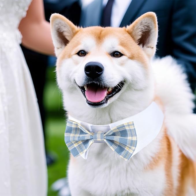 Segarty Dog Bow Tie, Adjustable Blue Plaid Bowtie Collar - Image 7