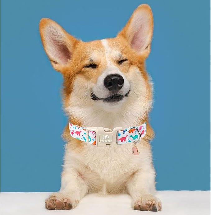 Summer Dog Collar, Adorable Dinosaur Cotton Dog Collar - Image 5