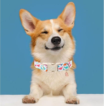 Summer Dog Collar, Adorable Dinosaur Cotton Dog Collar - Image 5