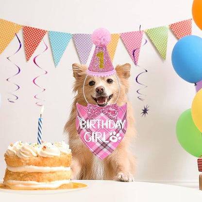 STMK Dog Birthday Outfits - Image 2