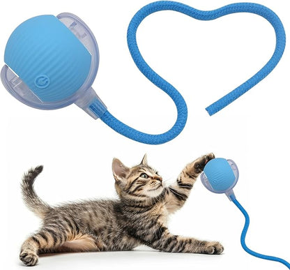 Interactive Cat Dog Toy Ball: Indoor Small Automatic Moving Smart Rolling Fun by AEBDERP