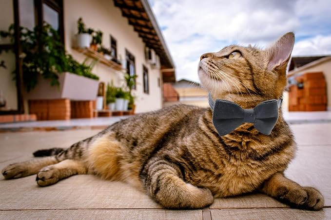 Cat Collar Breakaway with Bell and Removable Bow Tie Safety Buckle Velvet - Image 7