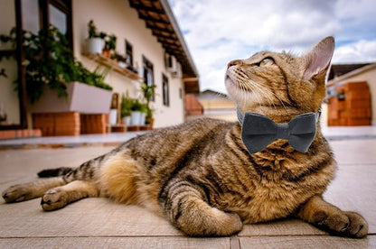 Cat Collar Breakaway with Bell and Removable Bow Tie Safety Buckle Velvet - Image 7