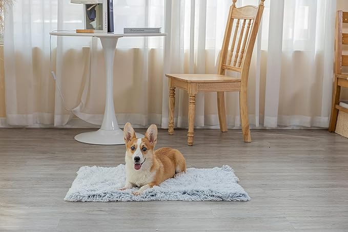 PJYuCien Dog Blankets for Small Dogs Washable - Image 8