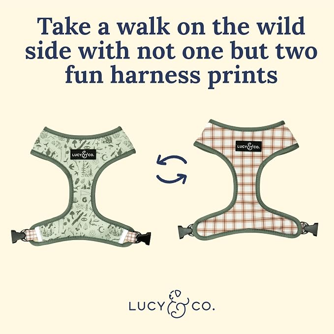 Lucy & Co. Cute Reversible Dog Harness Walking Halter - Image 6