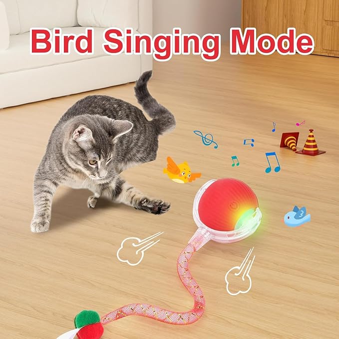 2 Packs Speed 2.0 Tail Interactive Cat Toys - Image 7