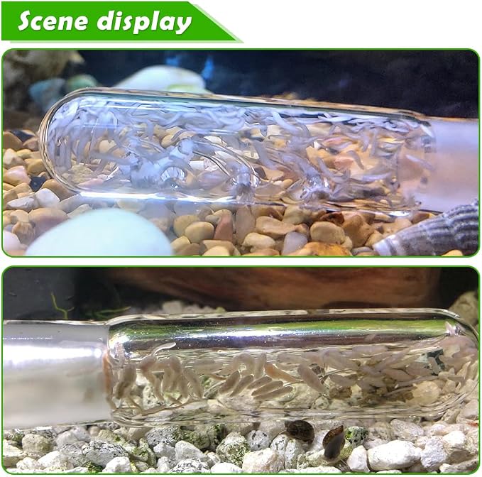 2 Pack Clear Glass Planaria Trap Catch Trap Aquarium Cleaning Supply - Image 3