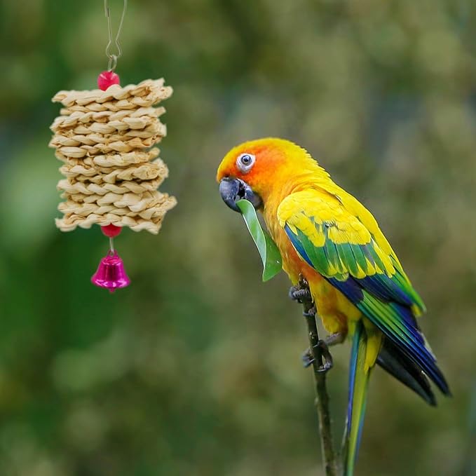 2 Pack Bird Perch Platform, Parrot Stand Sector Playground Wood Perch Stand Toy - Image 6