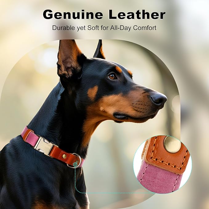 Plutus Pet Genuine Leather & Hemp Dog Collar – Adjustable Heavy Duty Pet Collar - Image 3