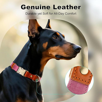 Plutus Pet Genuine Leather & Hemp Dog Collar – Adjustable Heavy Duty Pet Collar - Image 3