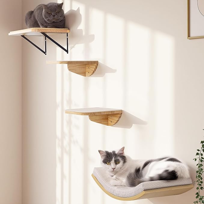 Cat Wall Shelves and Cats Window Perch – Natural Wood 4-Piece Set by PELUOMOZ
