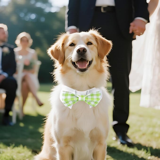 Segarty Dog Bow Tie for Neck Girths 12.6-15.7 inch, Adjustable Green Plaid - Image 6