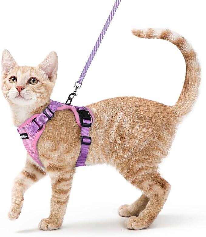 rabbitgoo Cat Harness and Leash by rabbitgoo