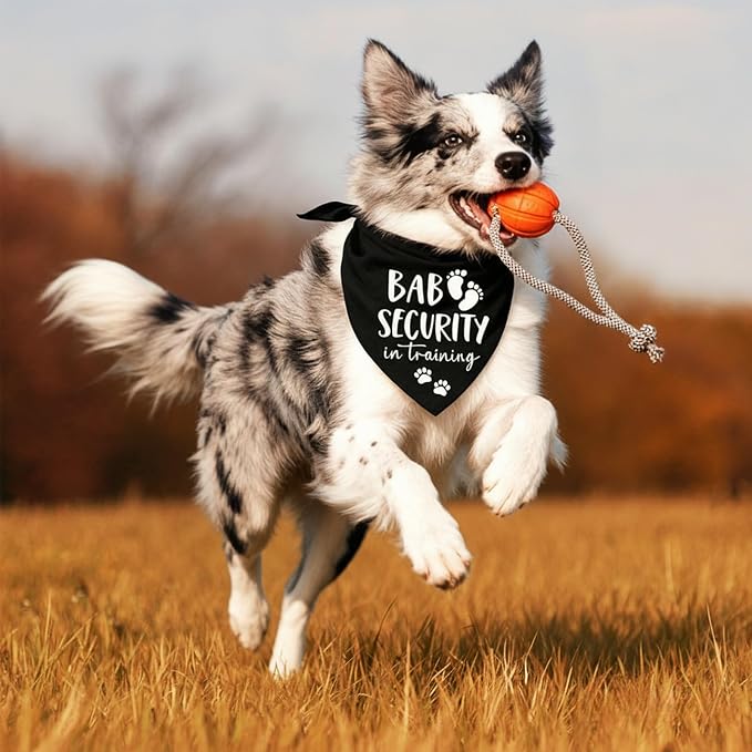 Baby Security in Training Dog Bandana Pet Scarf Pregnancy Announcement Dog - Image 6
