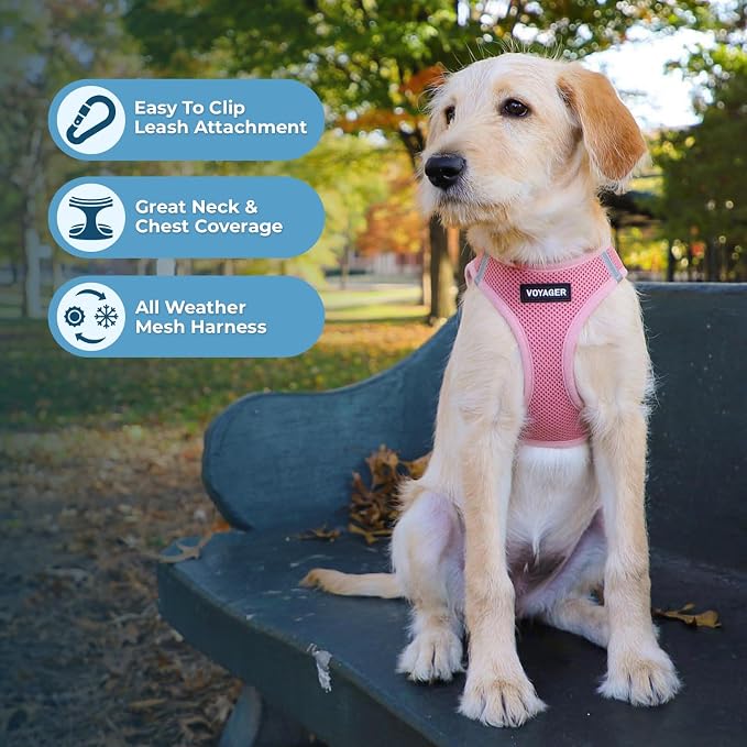 Best Pet Supplies Voyager Step-in Air Harness - Image 3