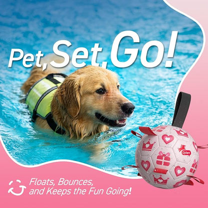 QDAN Valentines Gift Dog Toys, Interactive Tug of War Toy, Puppy Birthday Gifts - Image 6