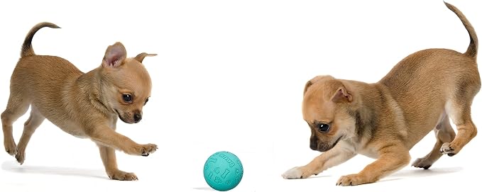 Snug Rubber Dog Balls for Small and Medium Dogs - Image 4