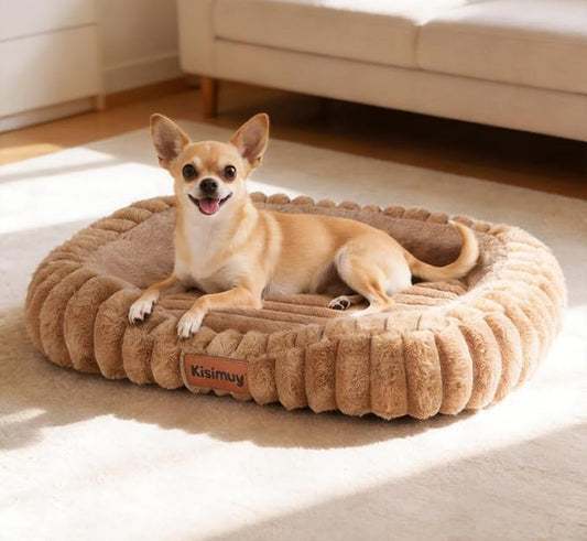 Orthopedic Dog Bed for Small Medium Dogs & Cats by Unknown