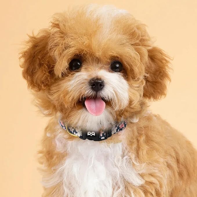 QQPETS Adjustable Soft Dog Collar: Print Flower Pink Multicolor Cute Patterns - Image 2