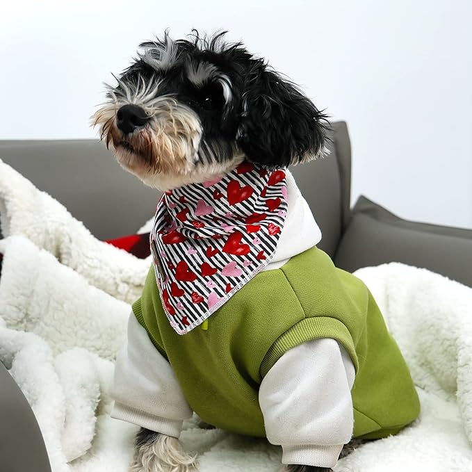 lionet paws Valentines Dog Bandana - Image 3