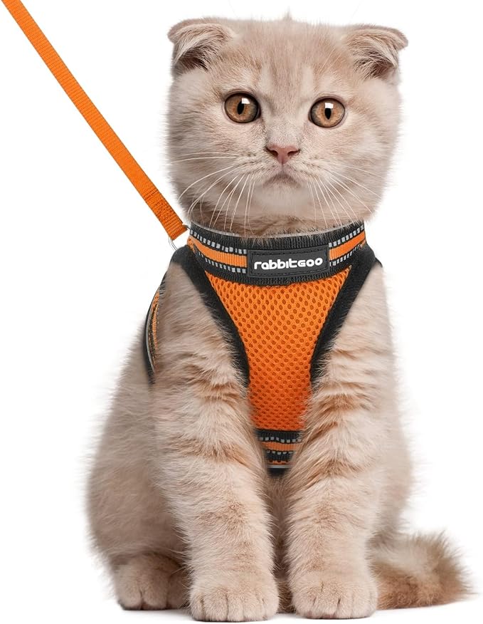 rabbitgoo Cat Harness and Leash Set by rabbitgoo