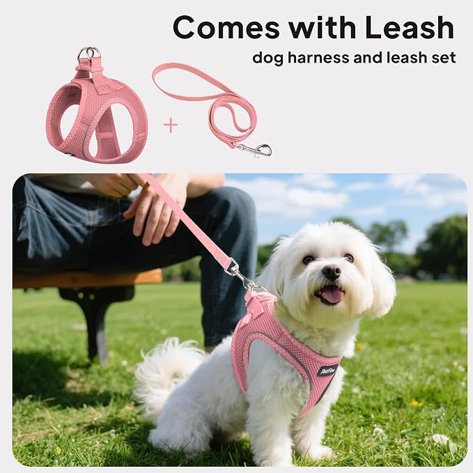 PetiFine Step in Small Dog Harness and Leash Set, Breathable All Weather Air - Image 5