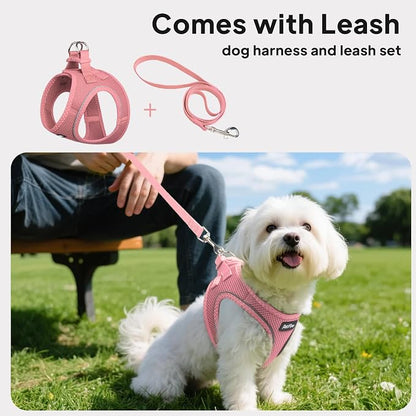 PetiFine Step in Small Dog Harness and Leash Set, Breathable All Weather Air - Image 5