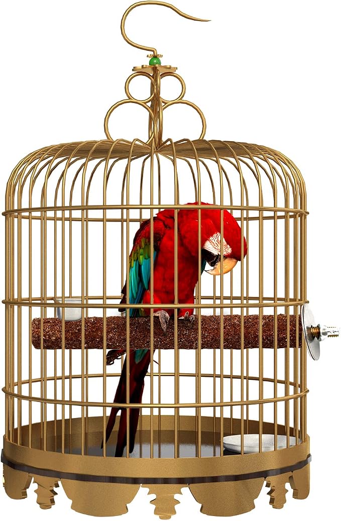 6 Pcs Bird Perch Stand Toy, Wood Parrot Stand Platform Colorful Sand Paw - Image 6