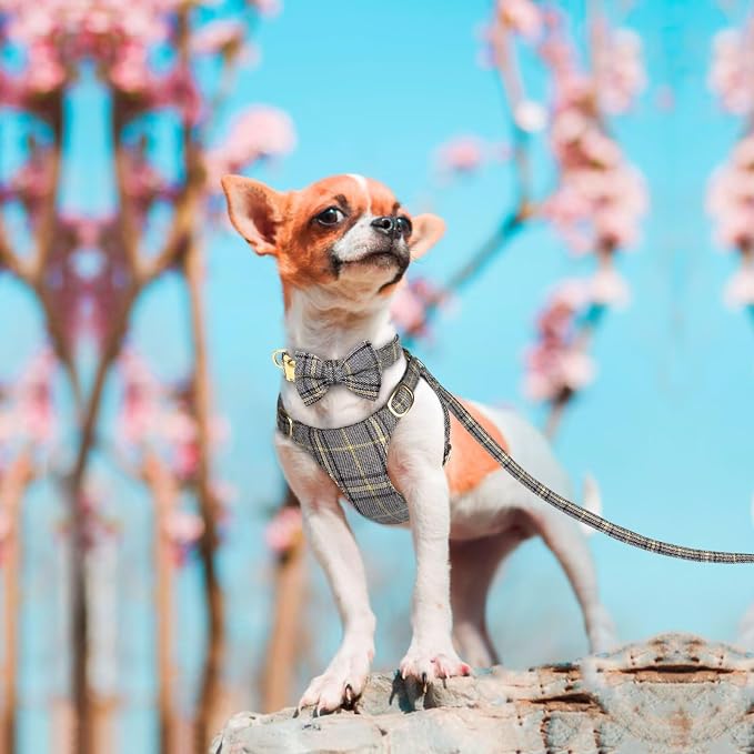 Beirui Cute Extra Small Dog Harness Collar and Leash Set - Image 4