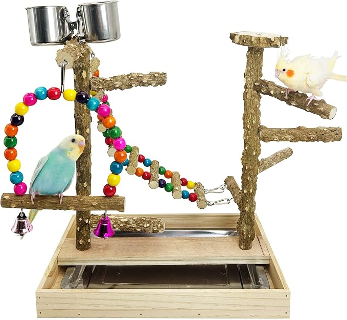 PINVNBY Bird Playground Natural Wood Bird Play Stand by PINVNBY