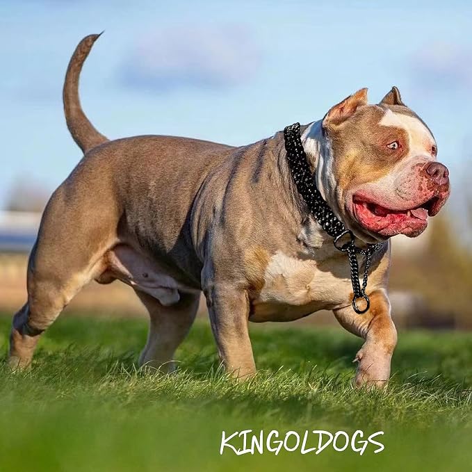 Stainless Steel Black Dog Chain Collar - Image 2