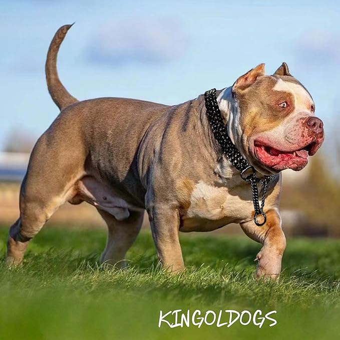 Stainless Steel Black Dog Chain Collar - Image 2