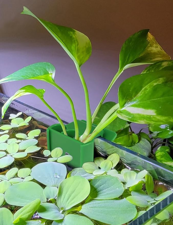 4 Pk Upgraded Aquarium Plant Holder, 3-Hole Hanging Plant Holder - Image 2
