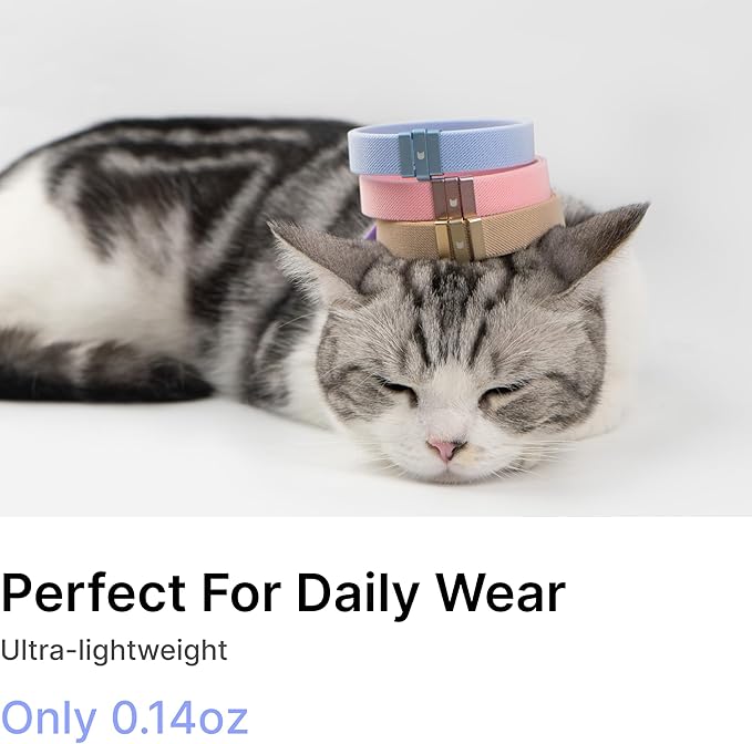 Safety Cat Collar - Image 6