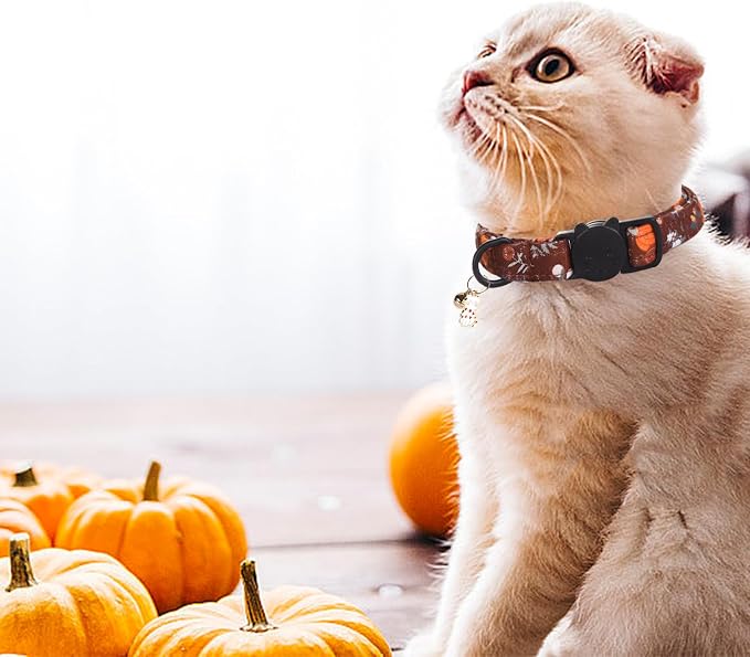 Elegant little tail Fall Cat Collar-2 Pack Pumpkin - Image 5